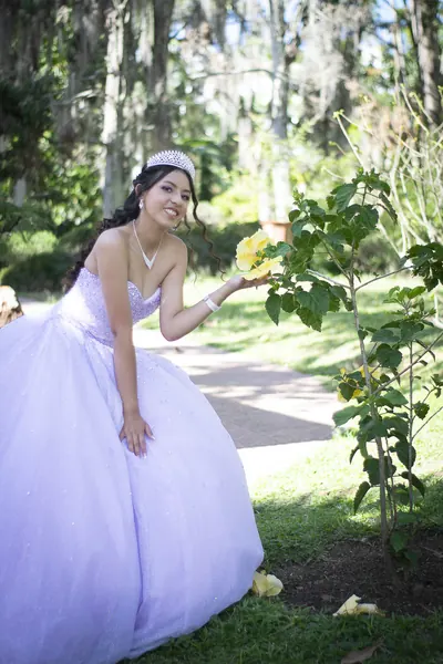 El sueño de Sofía, foto 6